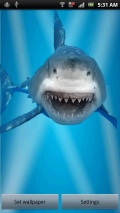 Angry Shark Jaws Crack Screen mobile app for free download